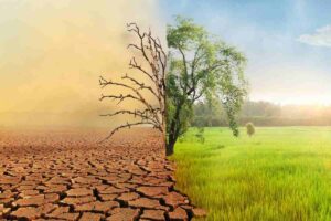Crisi climatica, coltivazioni